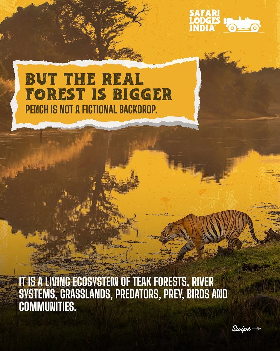 Safari Lodges India campaign creative 2