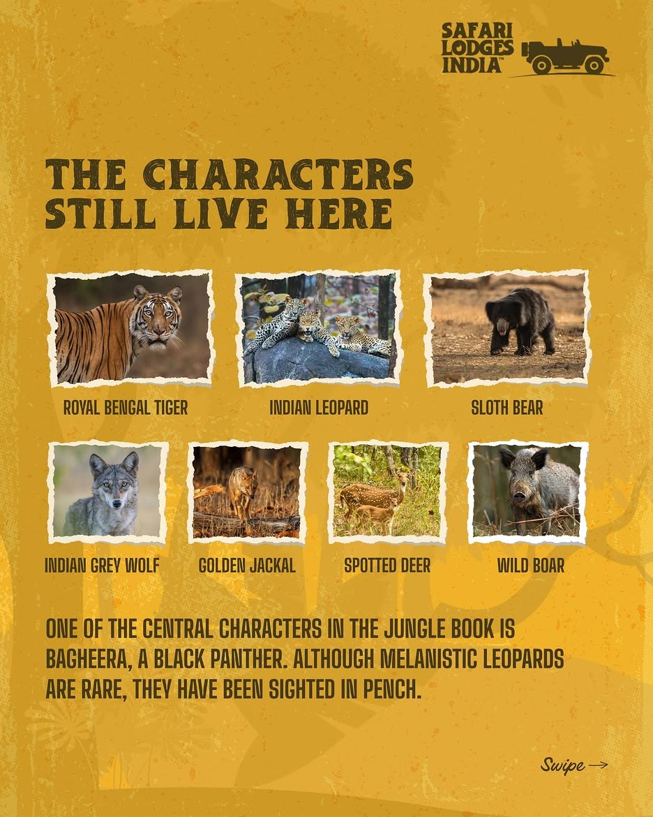 Safari Lodges India campaign creative 3
