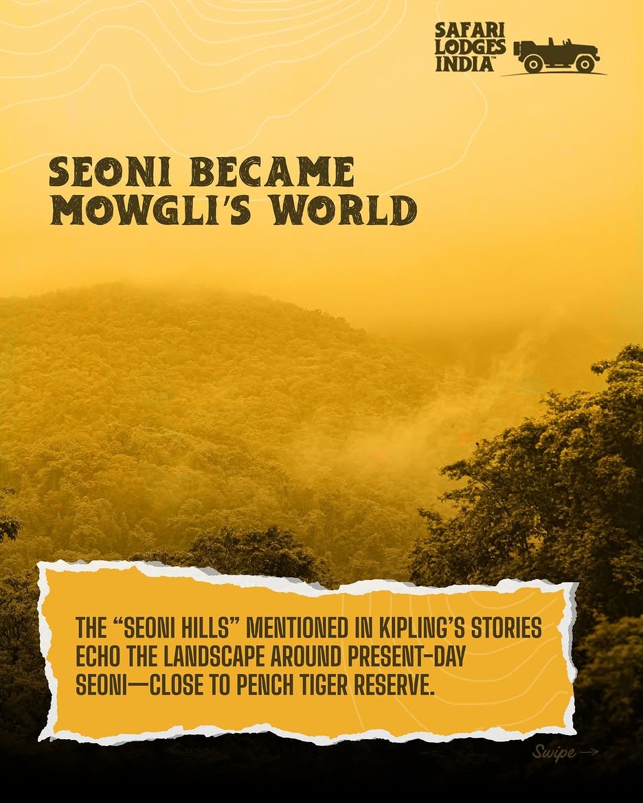 Safari Lodges India campaign creative 4
