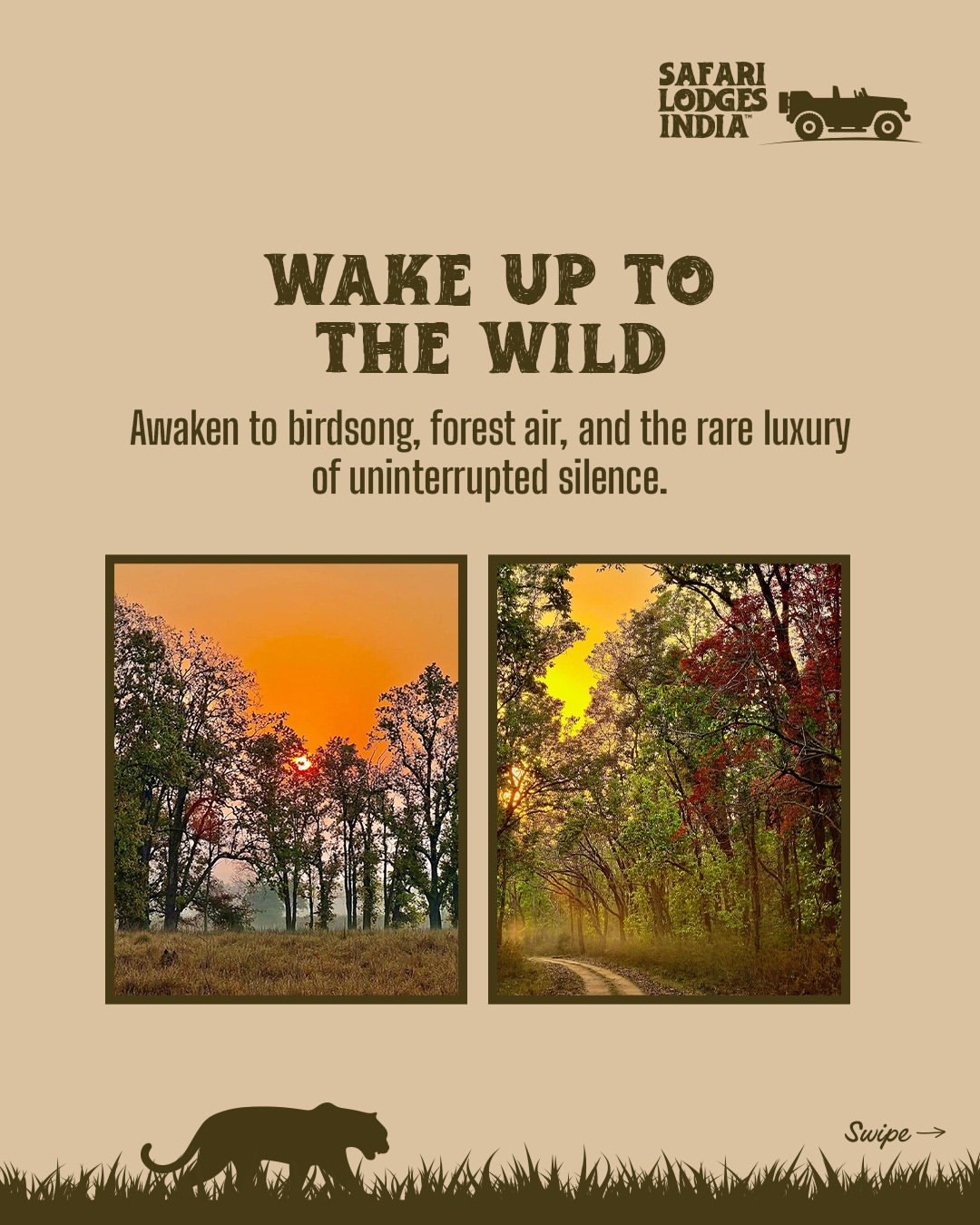 Safari Lodges India journey panel 1