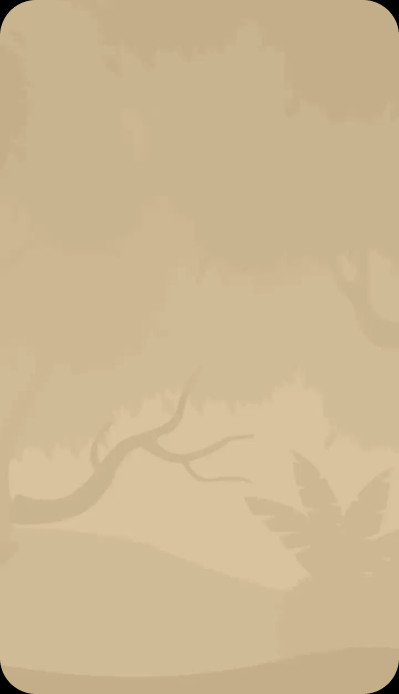 Safari Lodges India Instagram reel — brand graphic